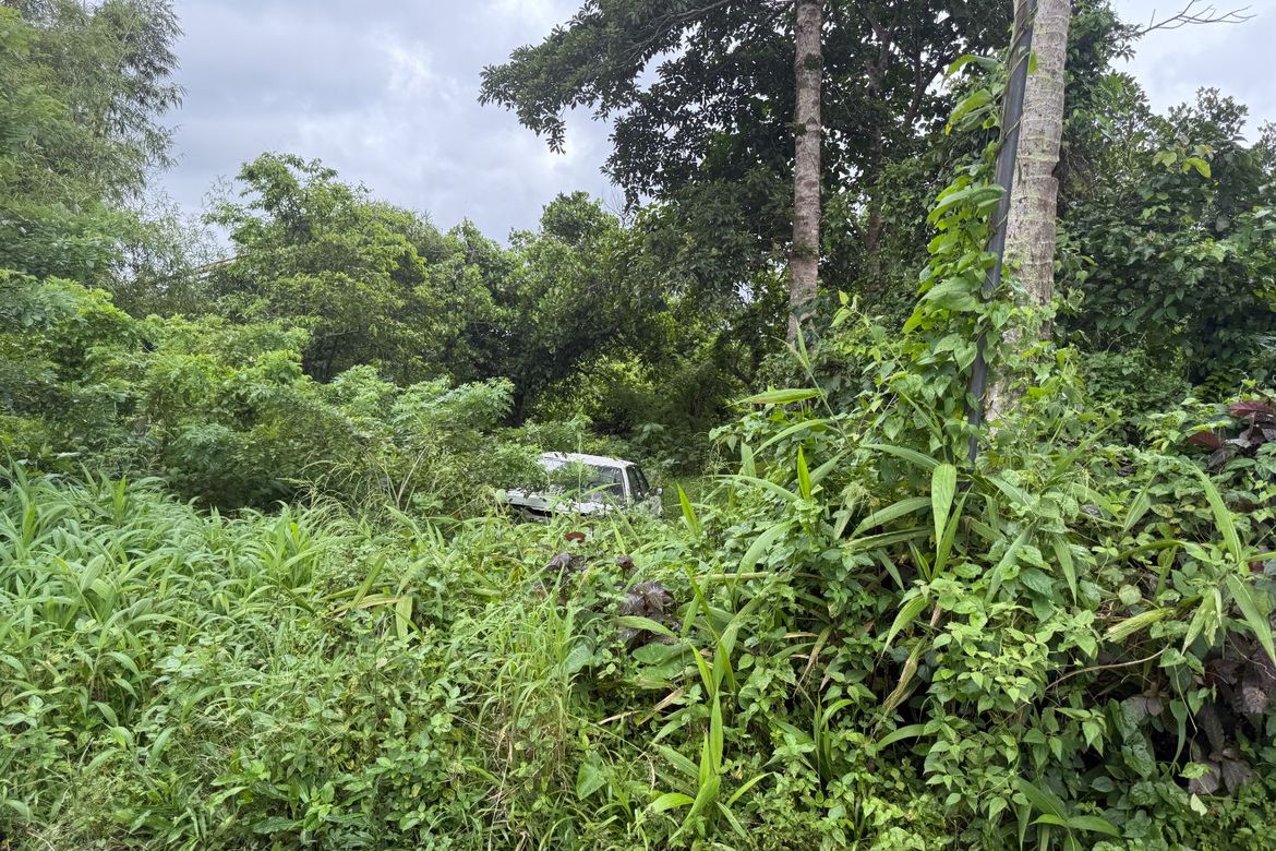 Land for Sale in Patutong Malaki North, Tagaytay, Cavite – photo 2