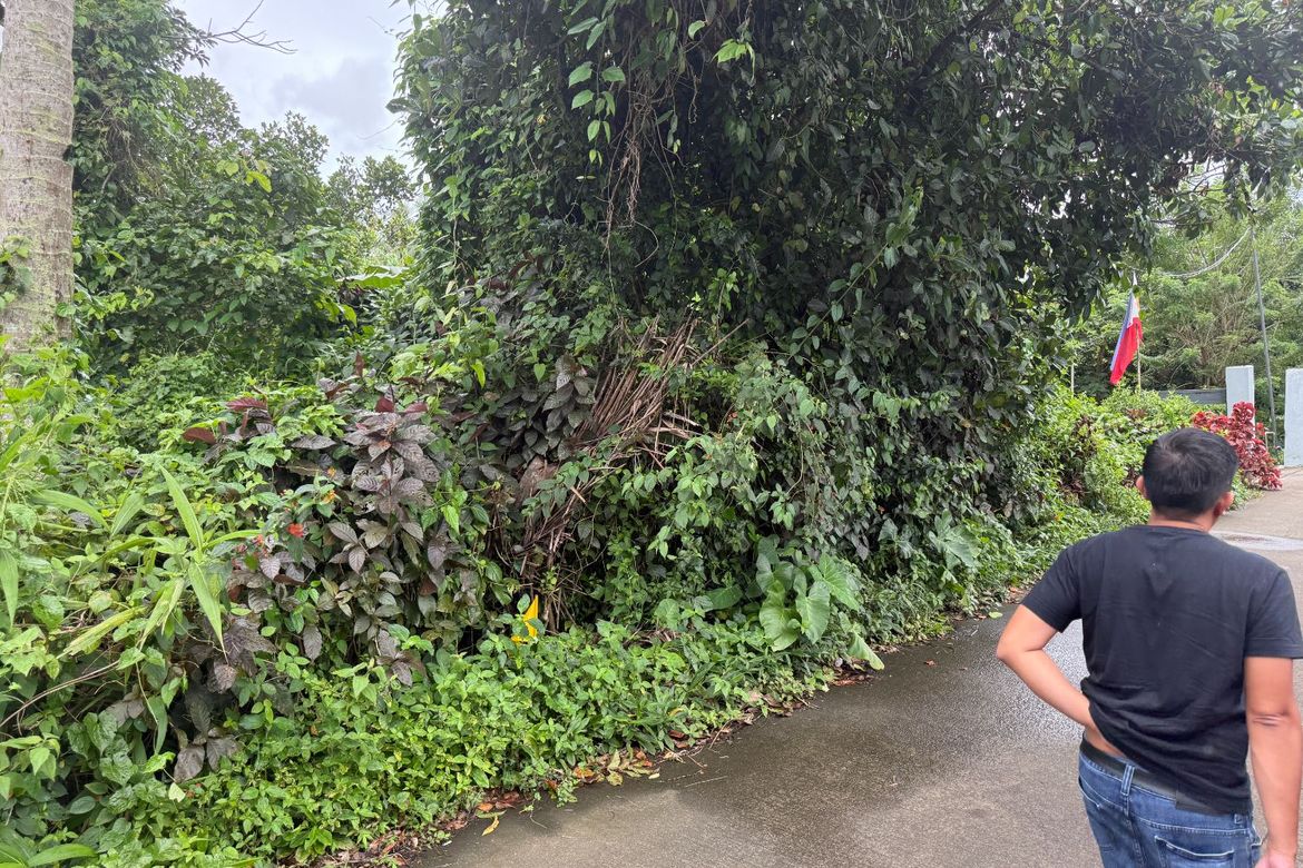 Land for Sale in Patutong Malaki North, Tagaytay, Cavite – photo 4