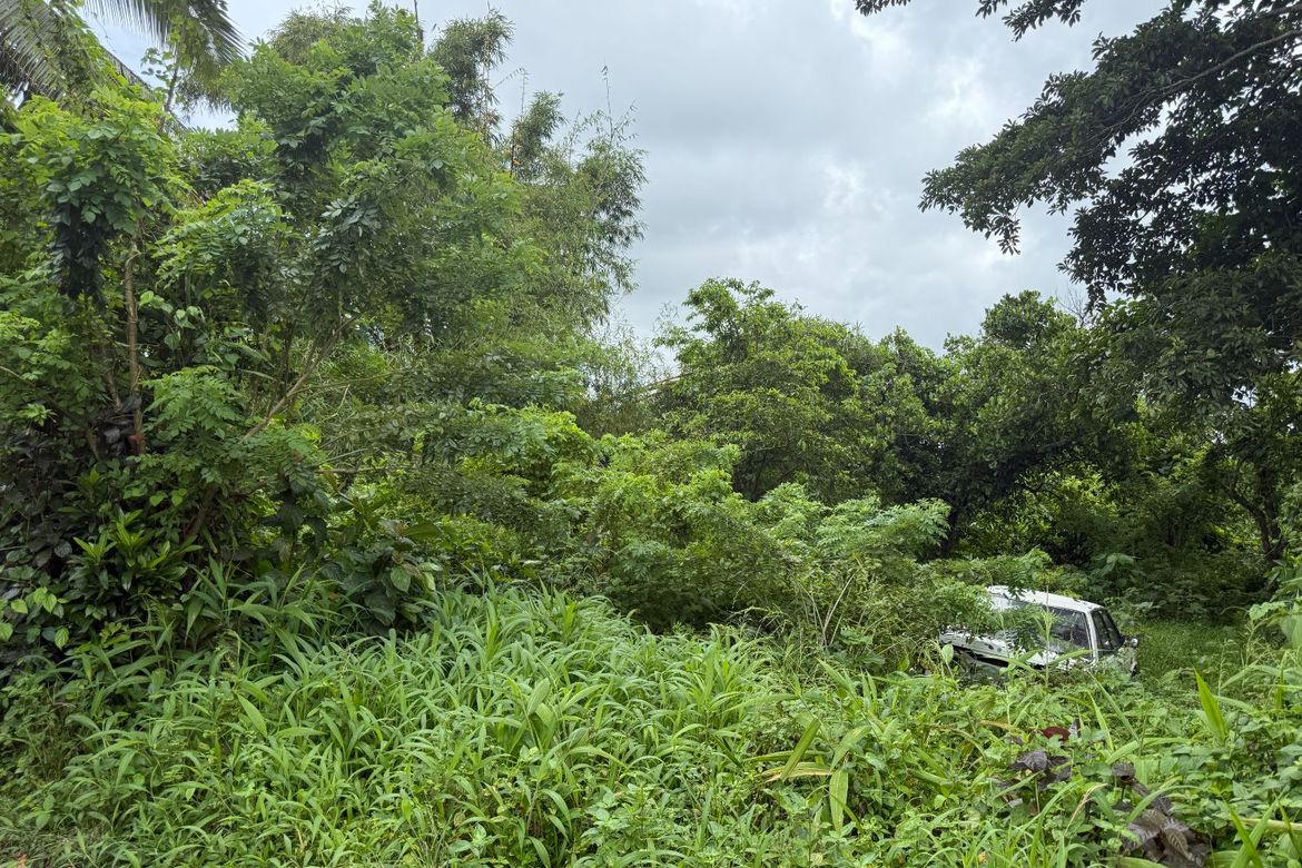 Land for Sale in Patutong Malaki North, Tagaytay, Cavite – photo 6