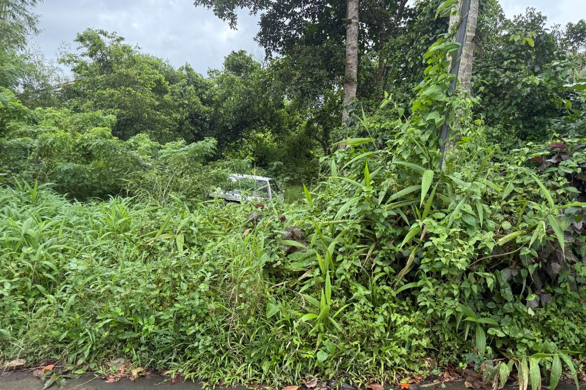 Land for Sale in Patutong Malaki North, Tagaytay, Cavite – photo 7