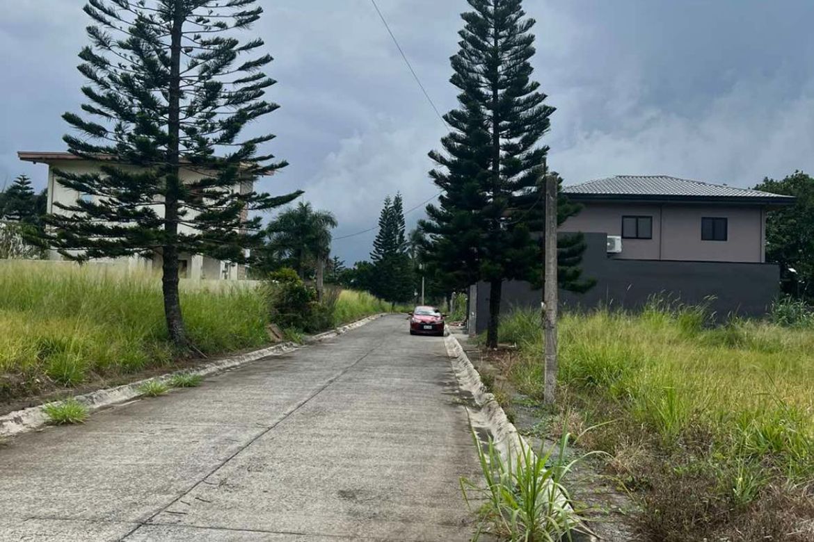 Land for Sale in Patutong Malaki South, Tagaytay, Cavite – photo 3