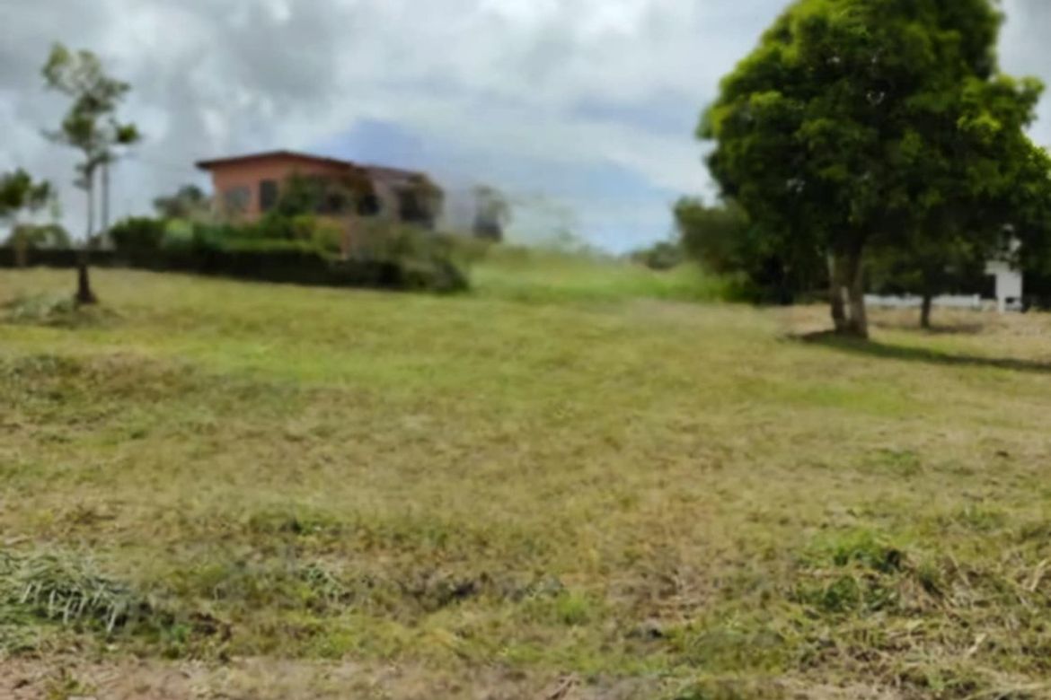 Land for Sale in Patutong Malaki South, Tagaytay, Cavite – photo 3