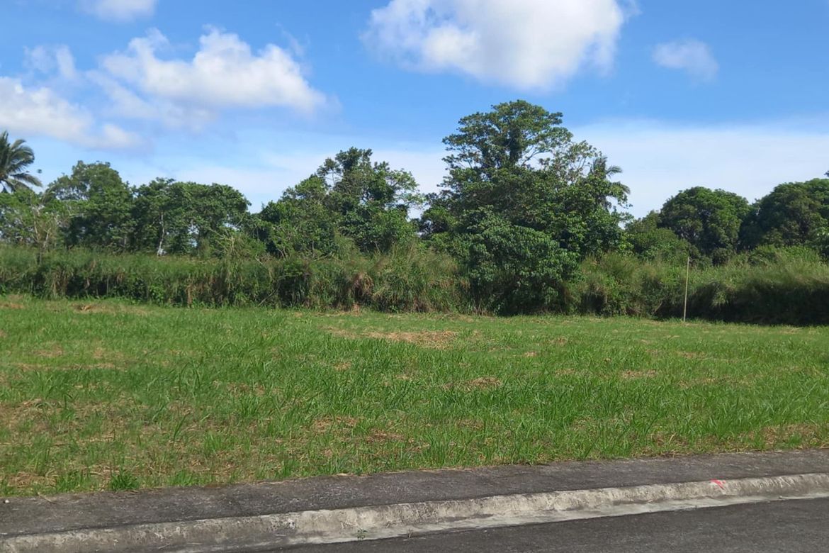 Land for Sale in Patutong Malaki South, Tagaytay, Cavite – photo 2