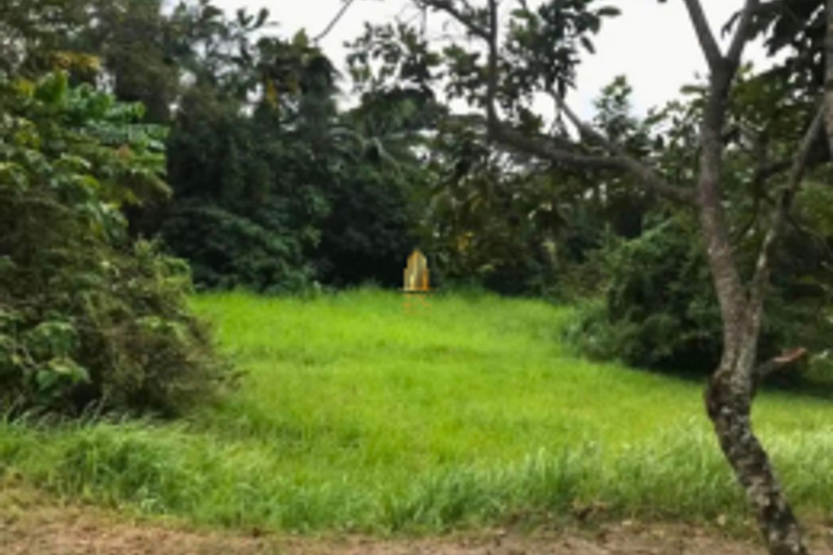 Land for Sale in Payapa Ibaba, Lemery, Batangas – photo 2