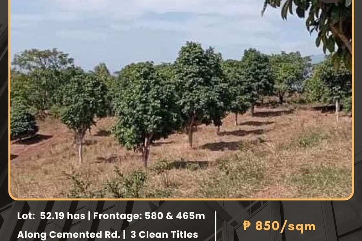 Land for Sale in Paysawan, Bagac, Bataan