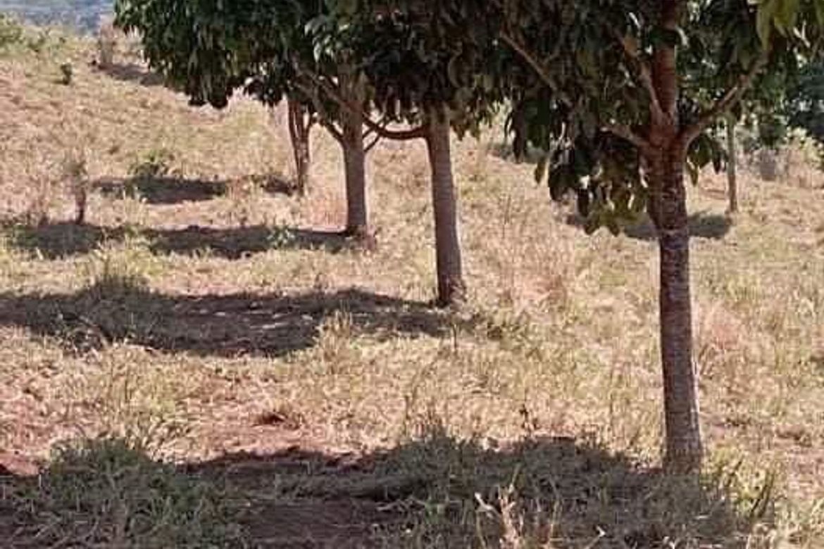 Land for Sale in Paysawan, Bagac, Bataan – photo 4
