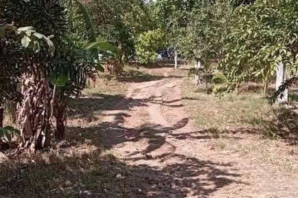 Land for Sale in Paysawan, Bagac, Bataan – photo 5