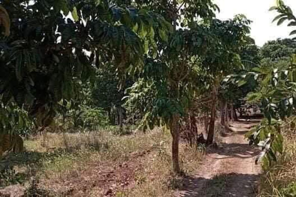 Land for Sale in Paysawan, Bagac, Bataan – photo 8