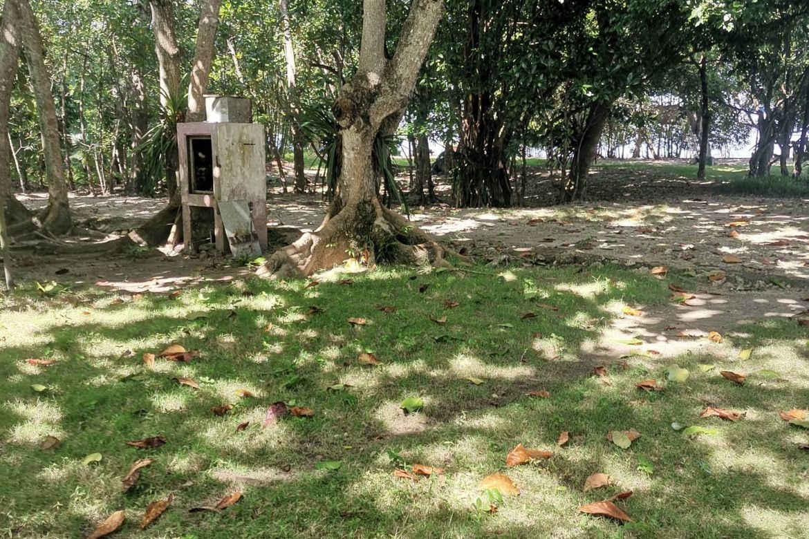 Land for Sale in Peñaplata, Samal, Davao del Norte – photo 7