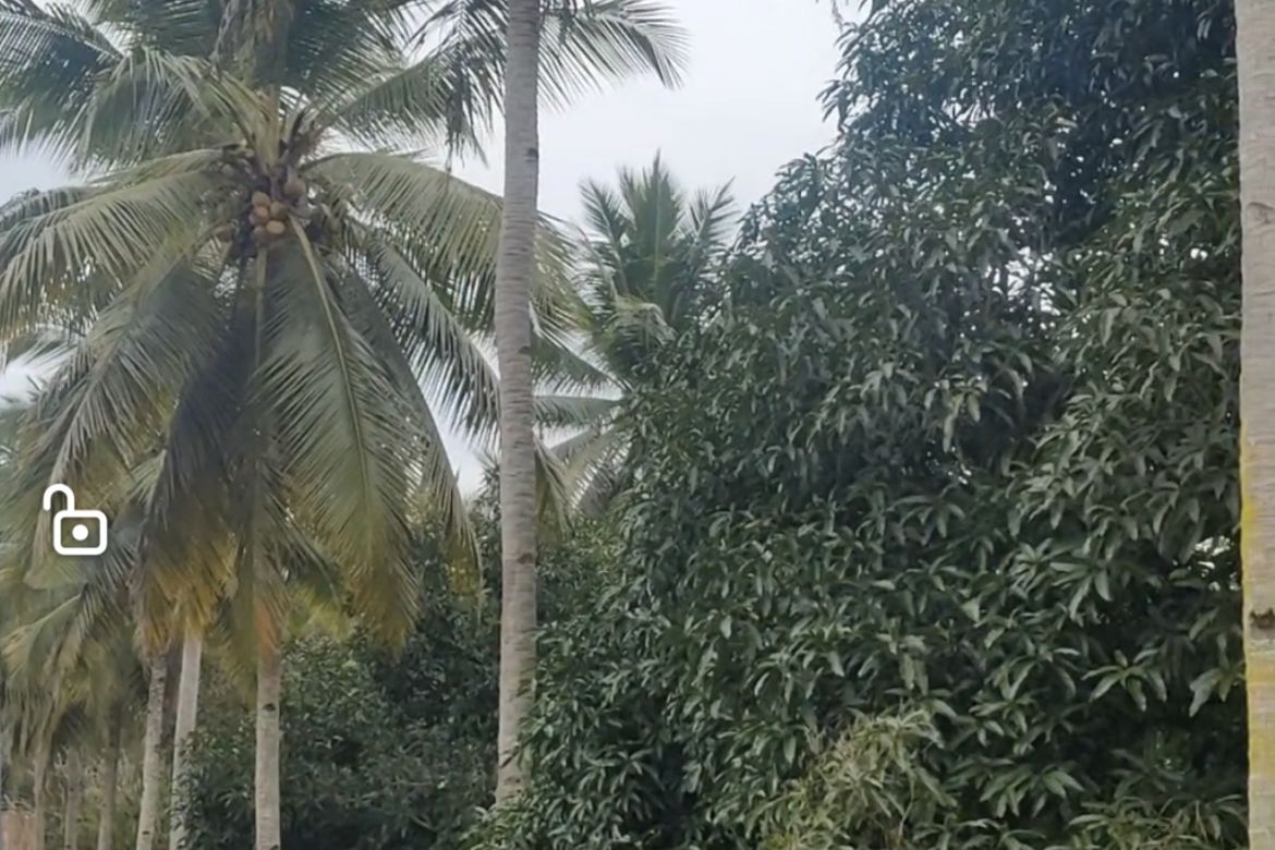 Land for Sale in Peñaplata, Samal, Davao del Norte – photo 4
