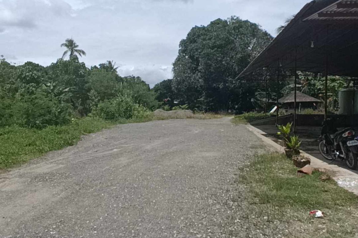Land for Sale in Peñaplata, Samal, Davao del Norte – photo 4