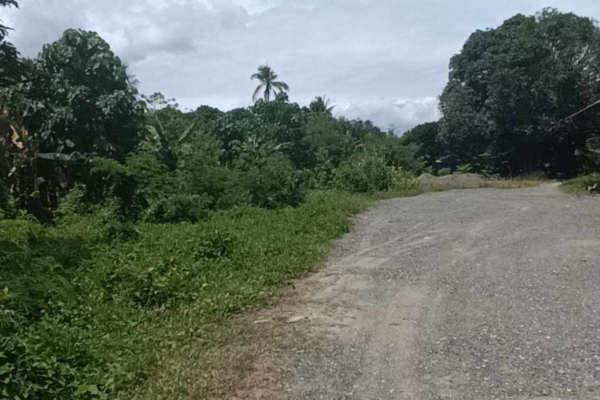 Land for Sale in Peñaplata, Samal, Davao del Norte – photo 5