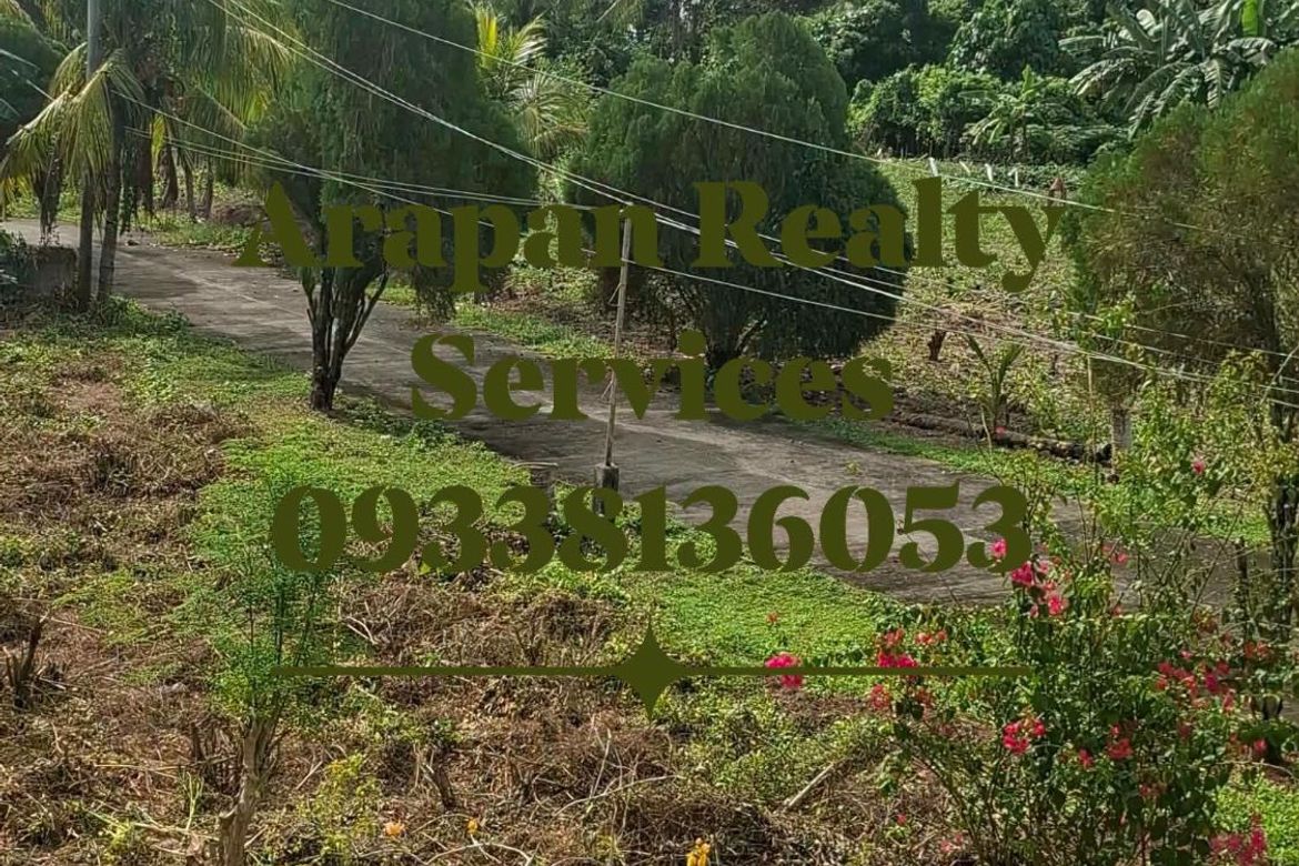 Land for Sale in Peñaplata, Samal, Davao del Norte – photo 2