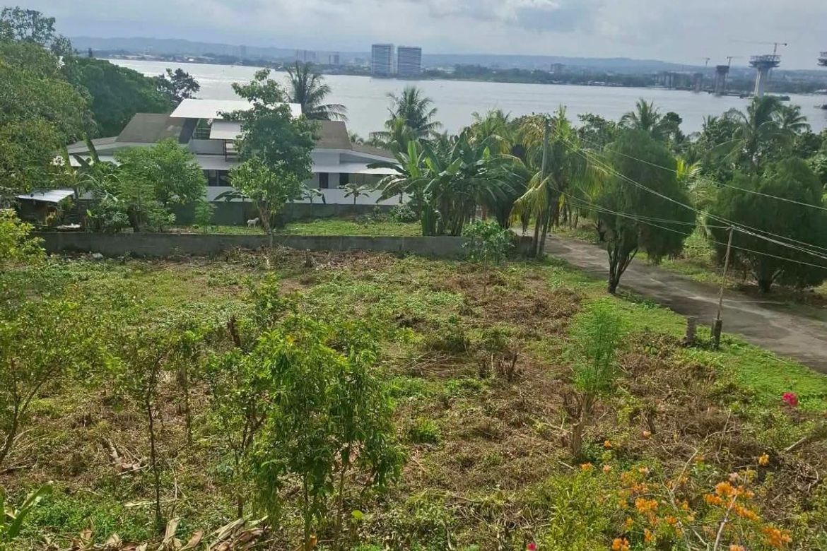 Land for Sale in Peñaplata, Samal, Davao del Norte – photo 5