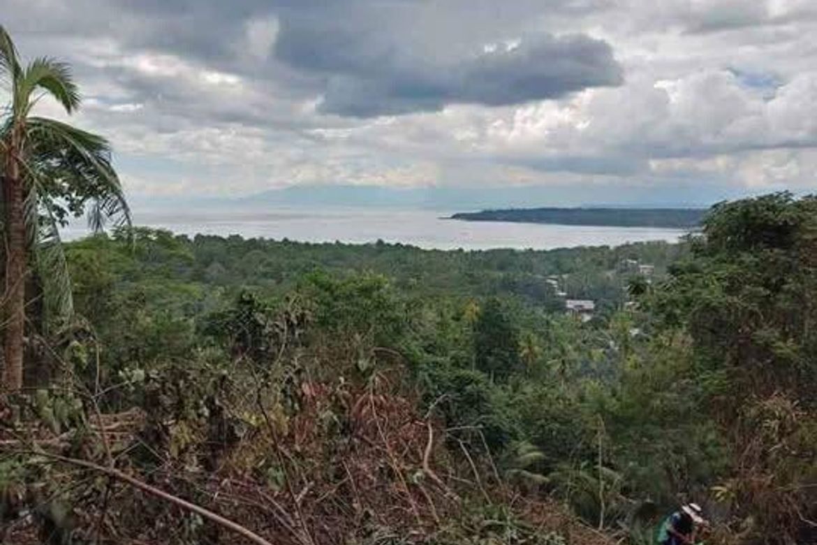 Land for Sale in Peñaplata, Samal, Davao del Norte