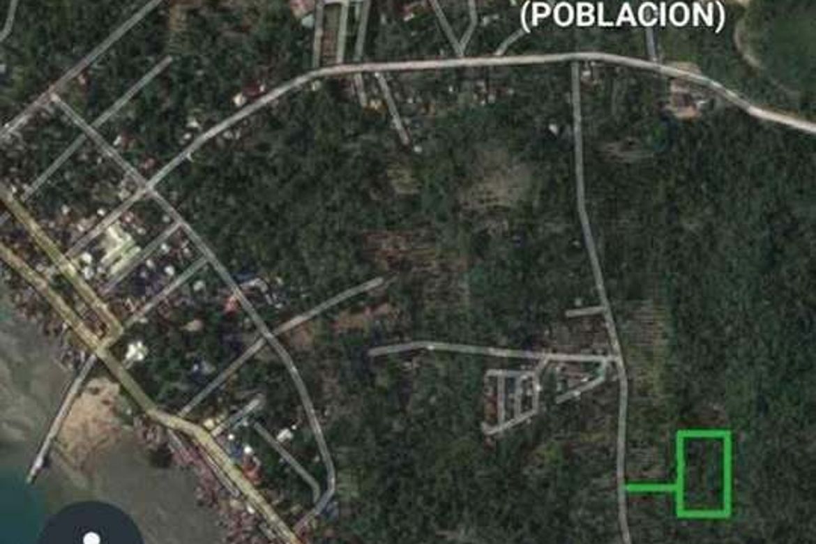 Land for Sale in Peñaplata, Samal, Davao del Norte – photo 3