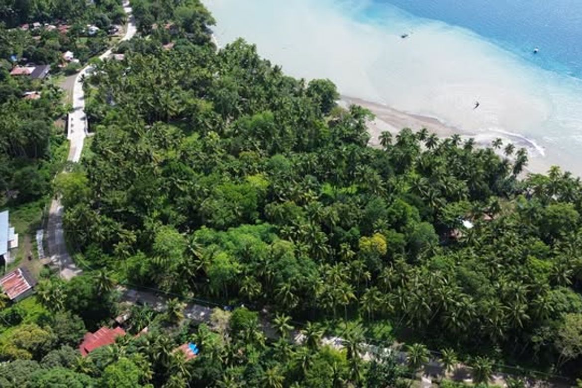 Land for Sale in Peñaplata, Samal, Davao del Norte – photo 3