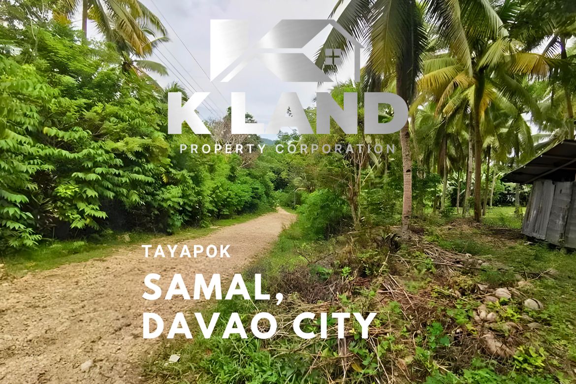 Land for Sale in Peñaplata, Samal, Davao del Norte