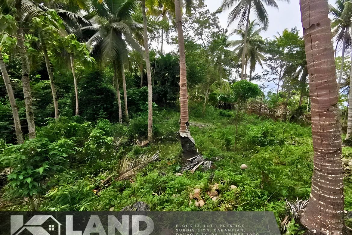 Land for Sale in Peñaplata, Samal, Davao del Norte – photo 5