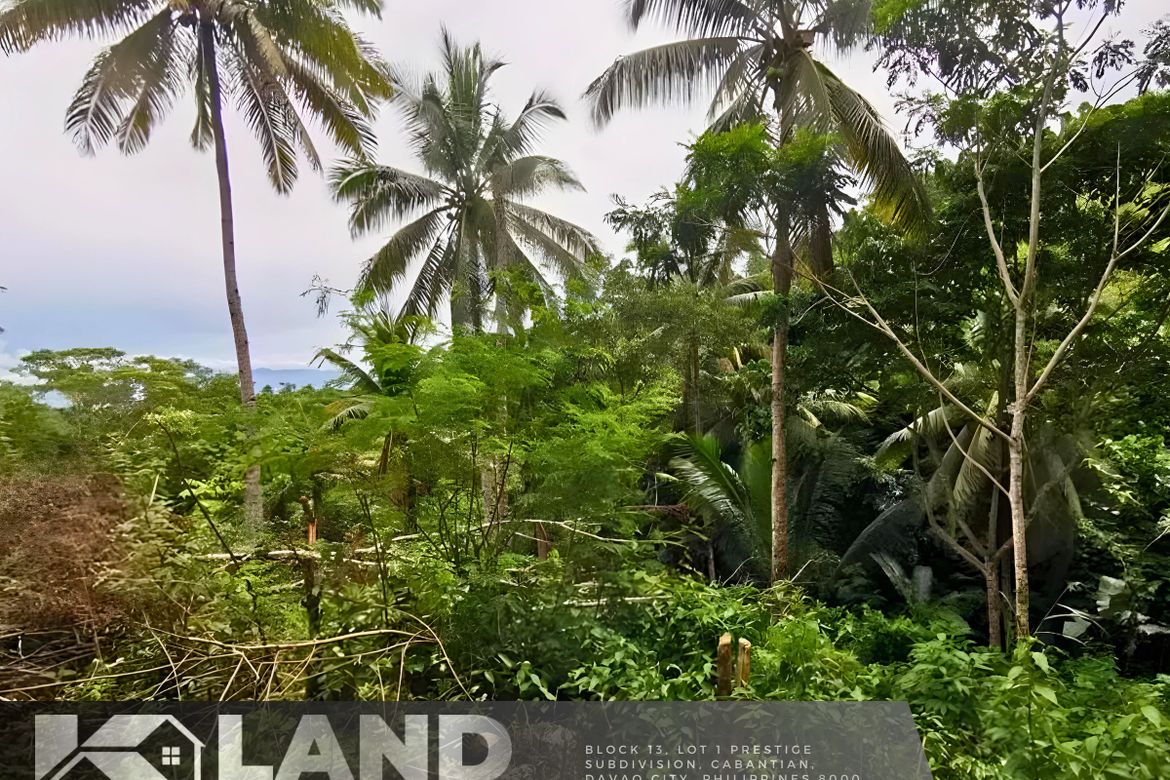 Land for Sale in Peñaplata, Samal, Davao del Norte – photo 6