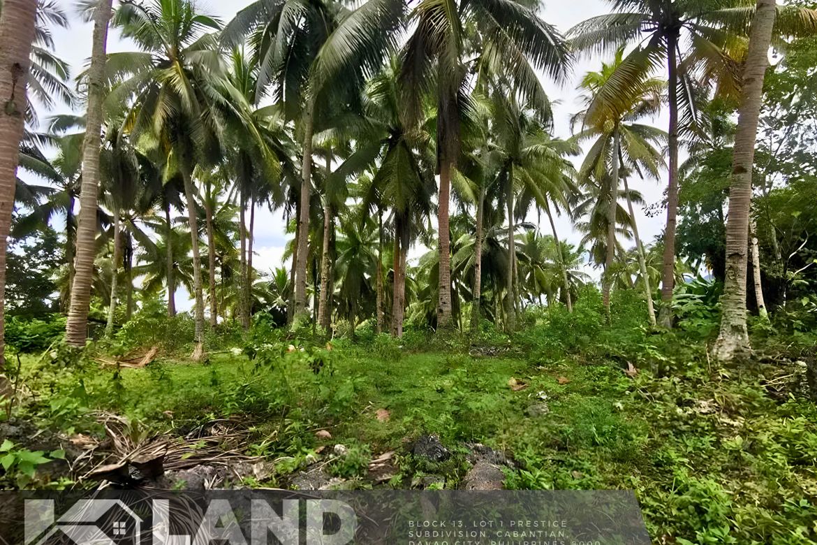 Land for Sale in Peñaplata, Samal, Davao del Norte – photo 7