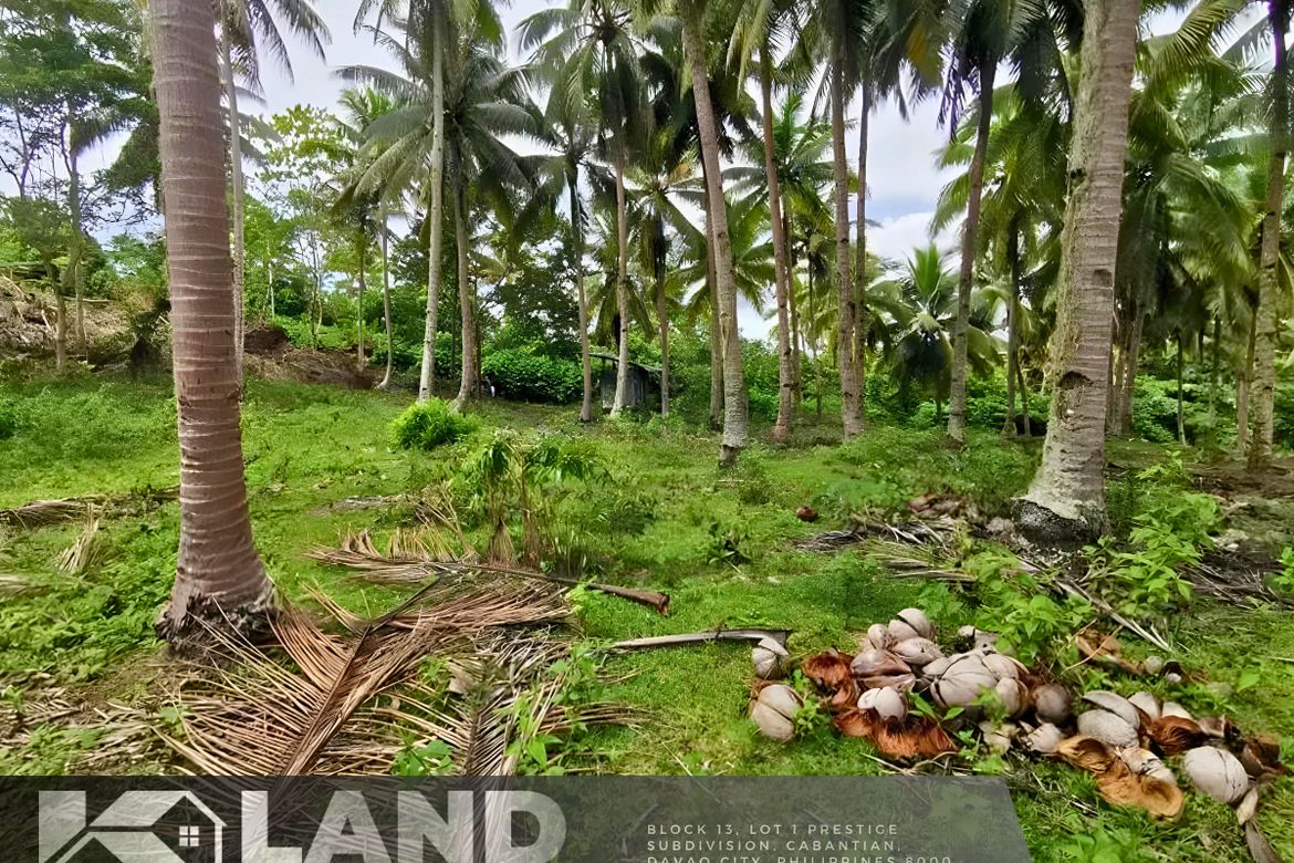 Land for Sale in Peñaplata, Samal, Davao del Norte – photo 8