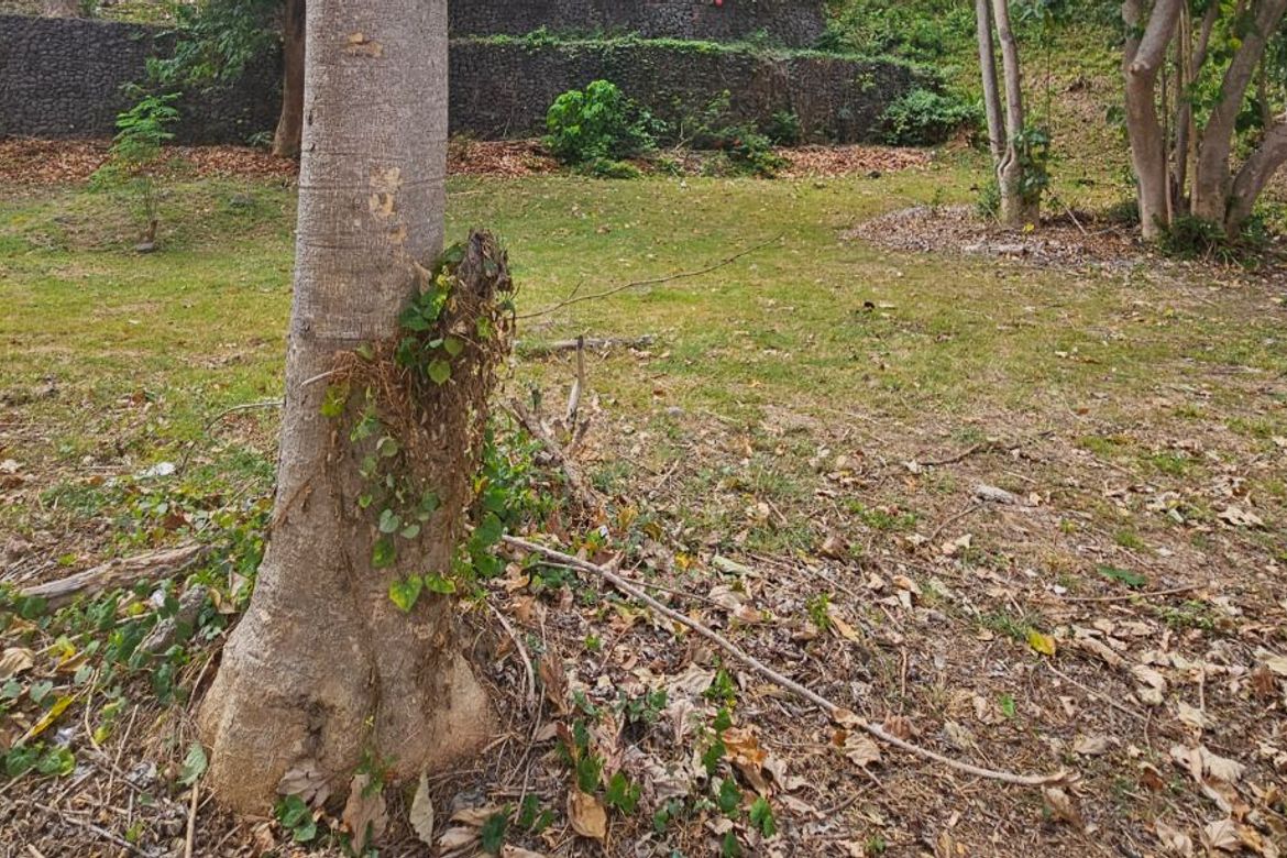 Land for Sale in Peninsula De Punta Fuego, Balaytigui, Nasugbu, Batangas – photo 3