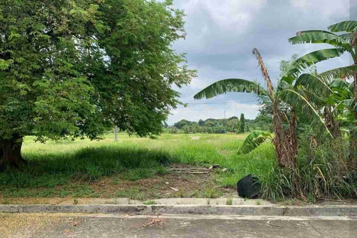 Land for Sale in Perez, Trece Martires, Cavite