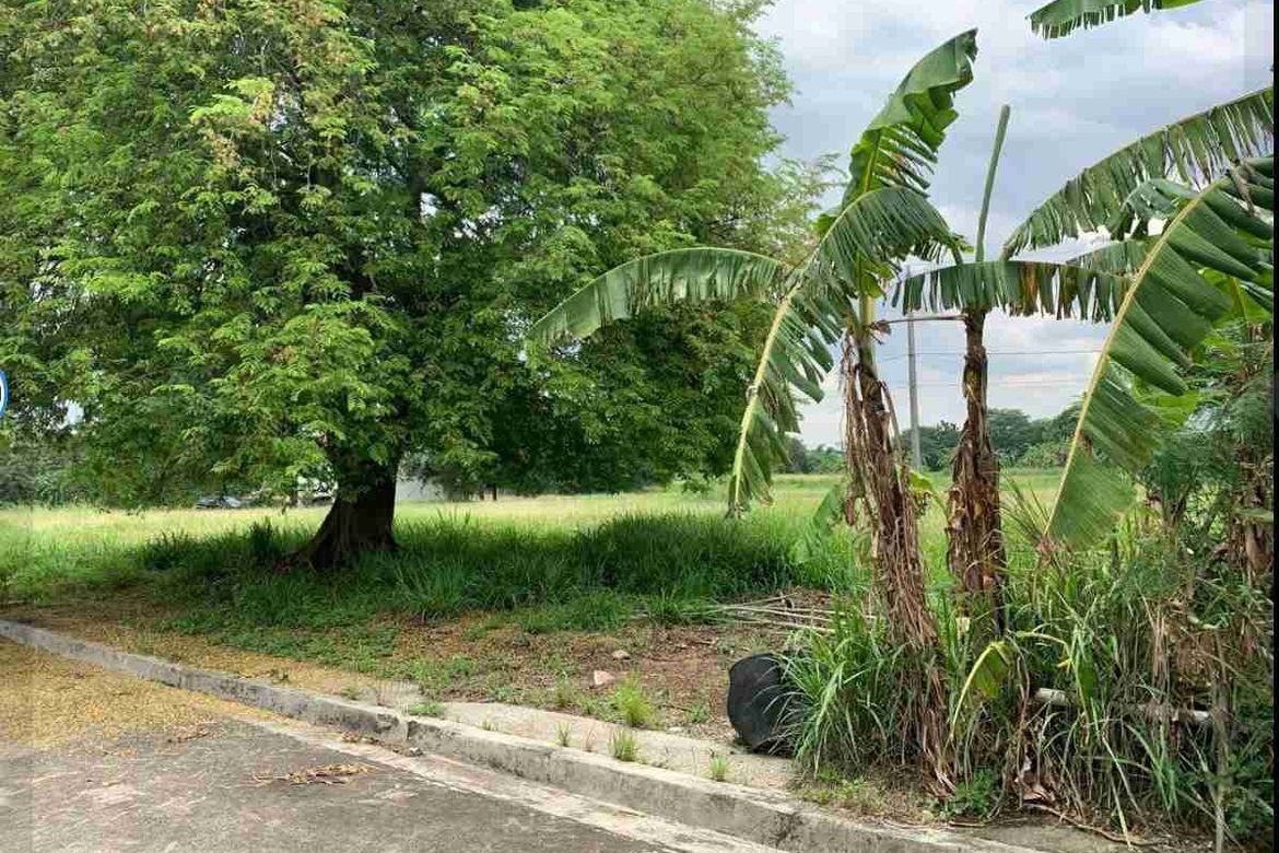 Land for Sale in Perez, Trece Martires, Cavite – photo 2