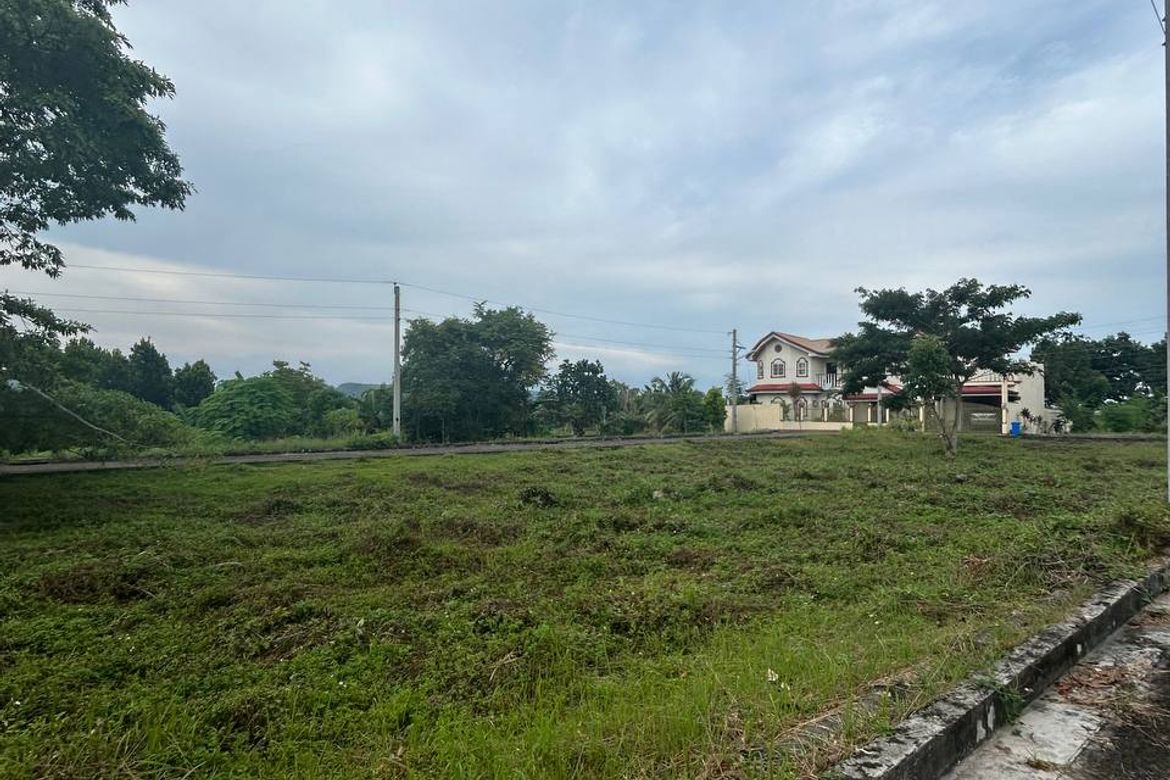 Land for Sale in Perrelos, Carcar, Cebu – photo 8