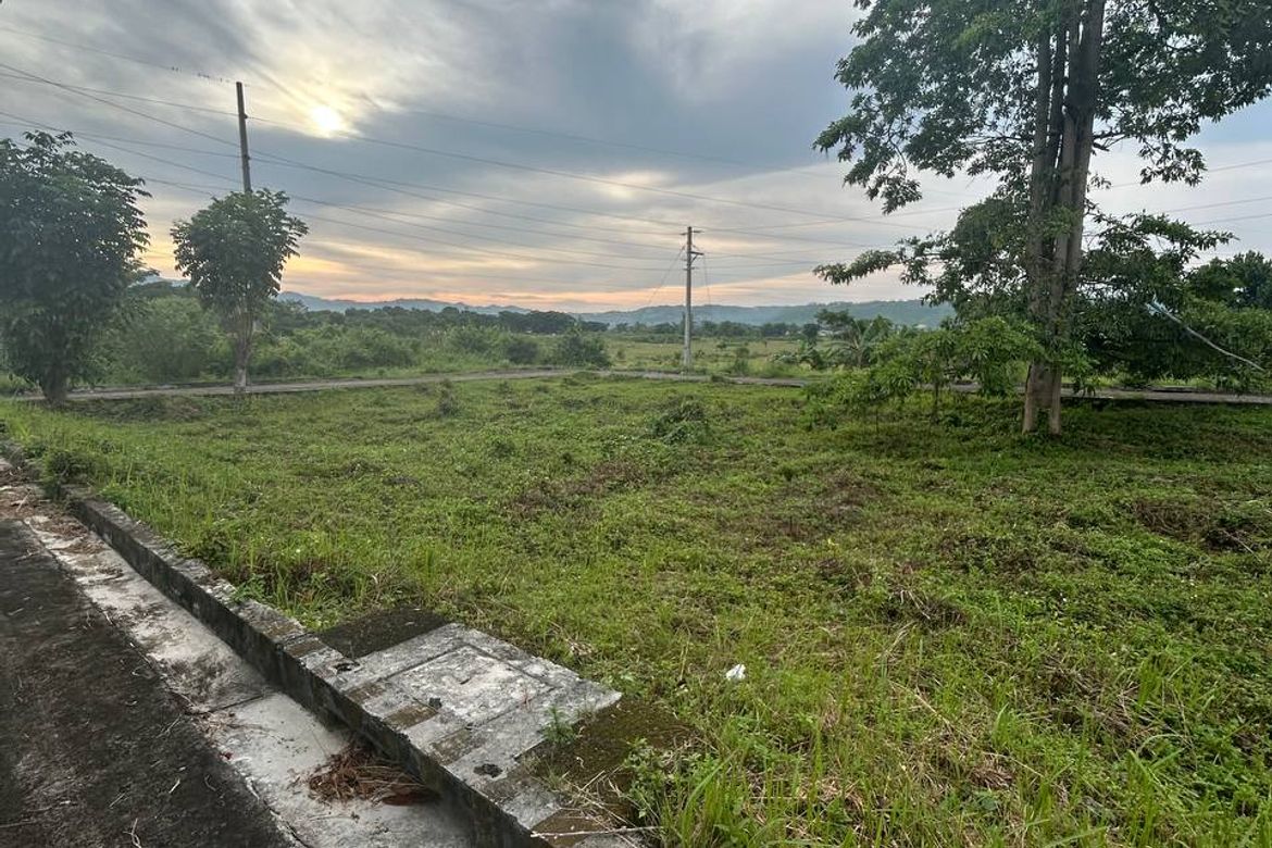 Land for Sale in Perrelos, Carcar, Cebu – photo 2