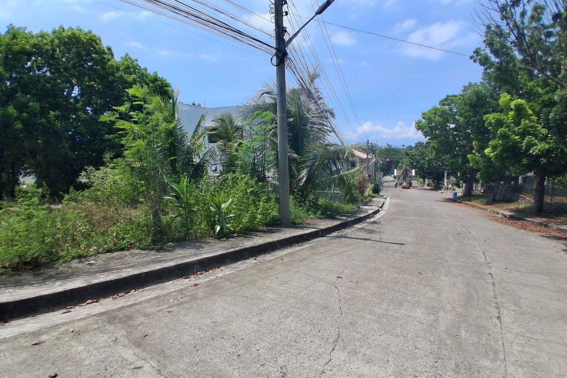 Land for Sale in Perrelos, Carcar, Cebu – photo 5
