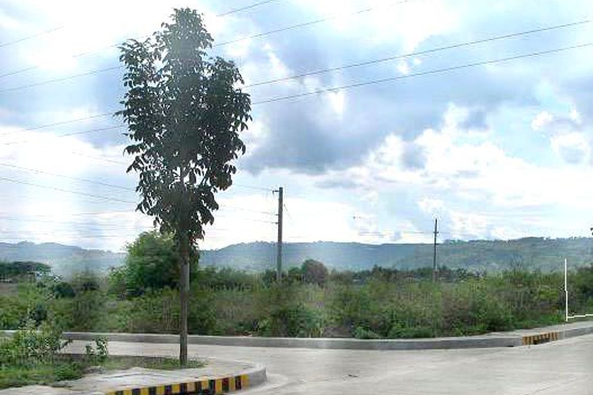 Land for Sale in Perrelos, Carcar, Cebu – photo 4