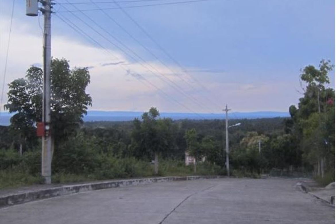 Land for Sale in Perrelos, Carcar, Cebu – photo 6