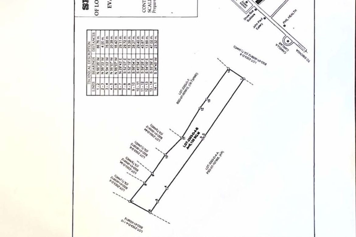 Land for Sale in Perrelos, Carcar, Cebu – photo 5