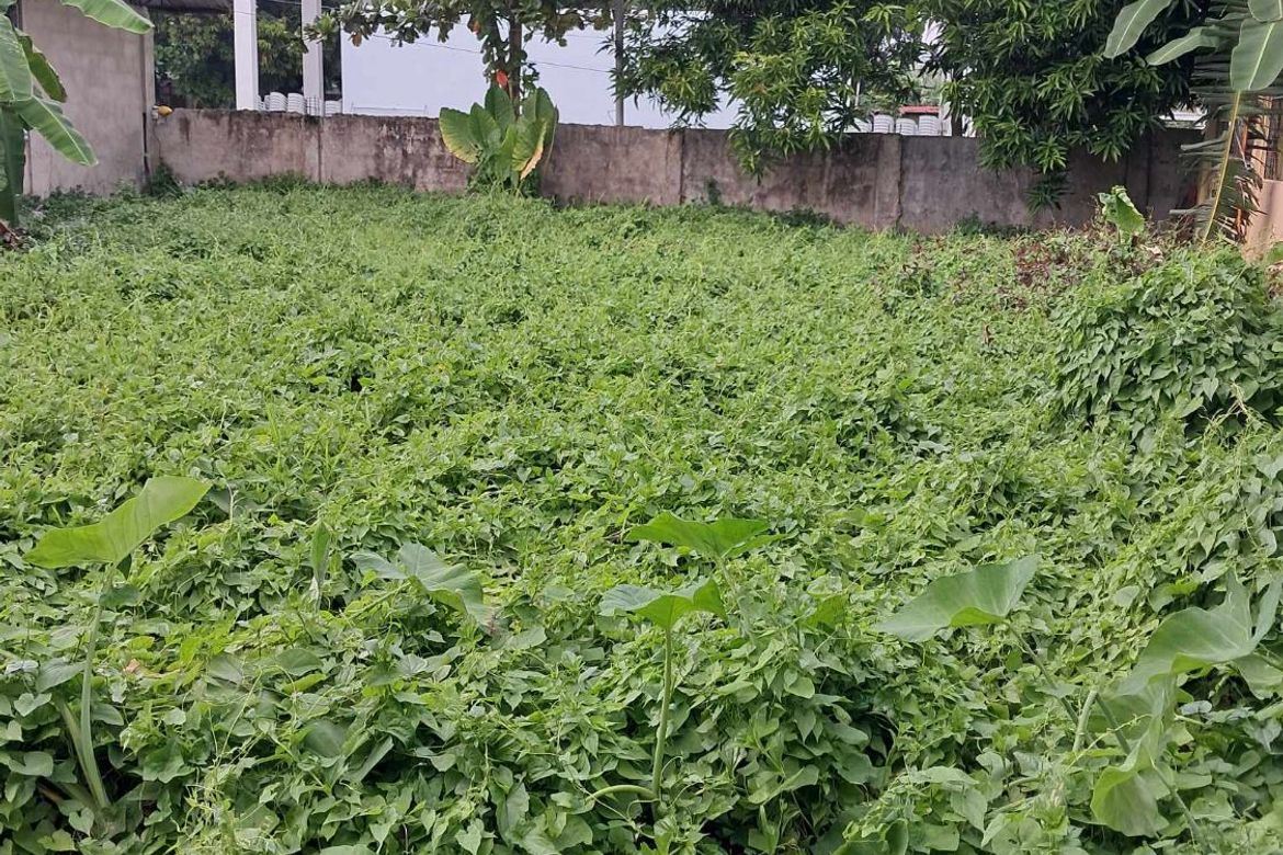 Land for Sale in Perrelos, Carcar, Cebu – photo 4