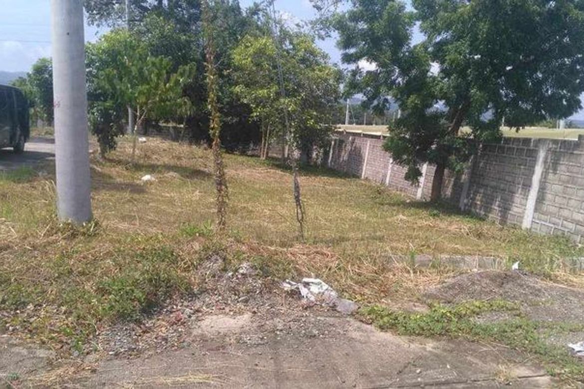 Land for Sale in Perrelos, Carcar, Cebu – photo 2