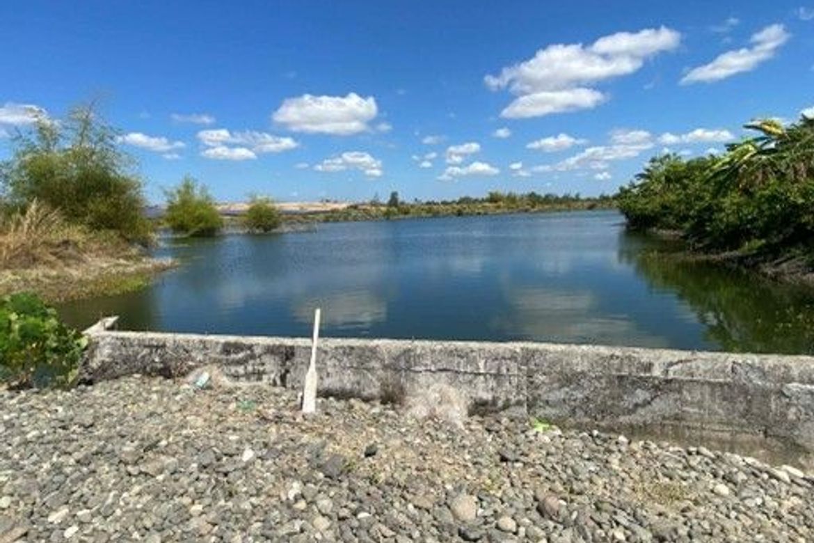 Land for Sale in Pias, General Tinio, Nueva Ecija – photo 3
