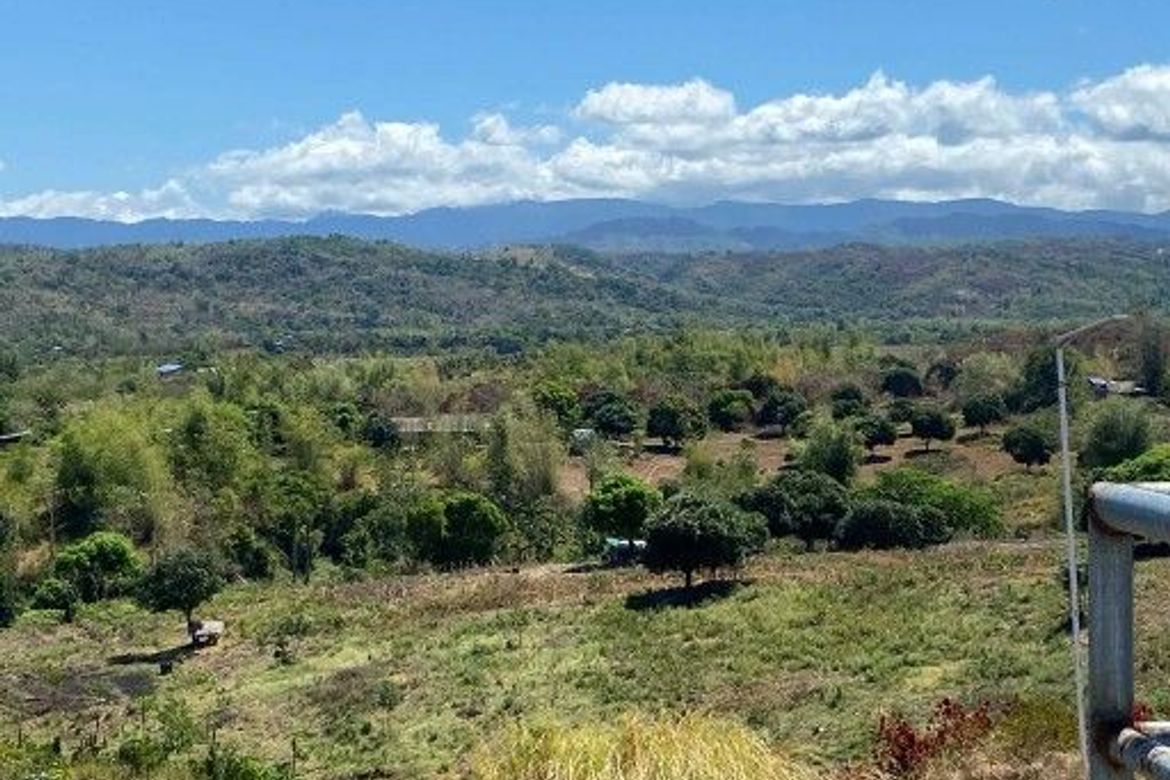 Land for Sale in Pias, General Tinio, Nueva Ecija – photo 4