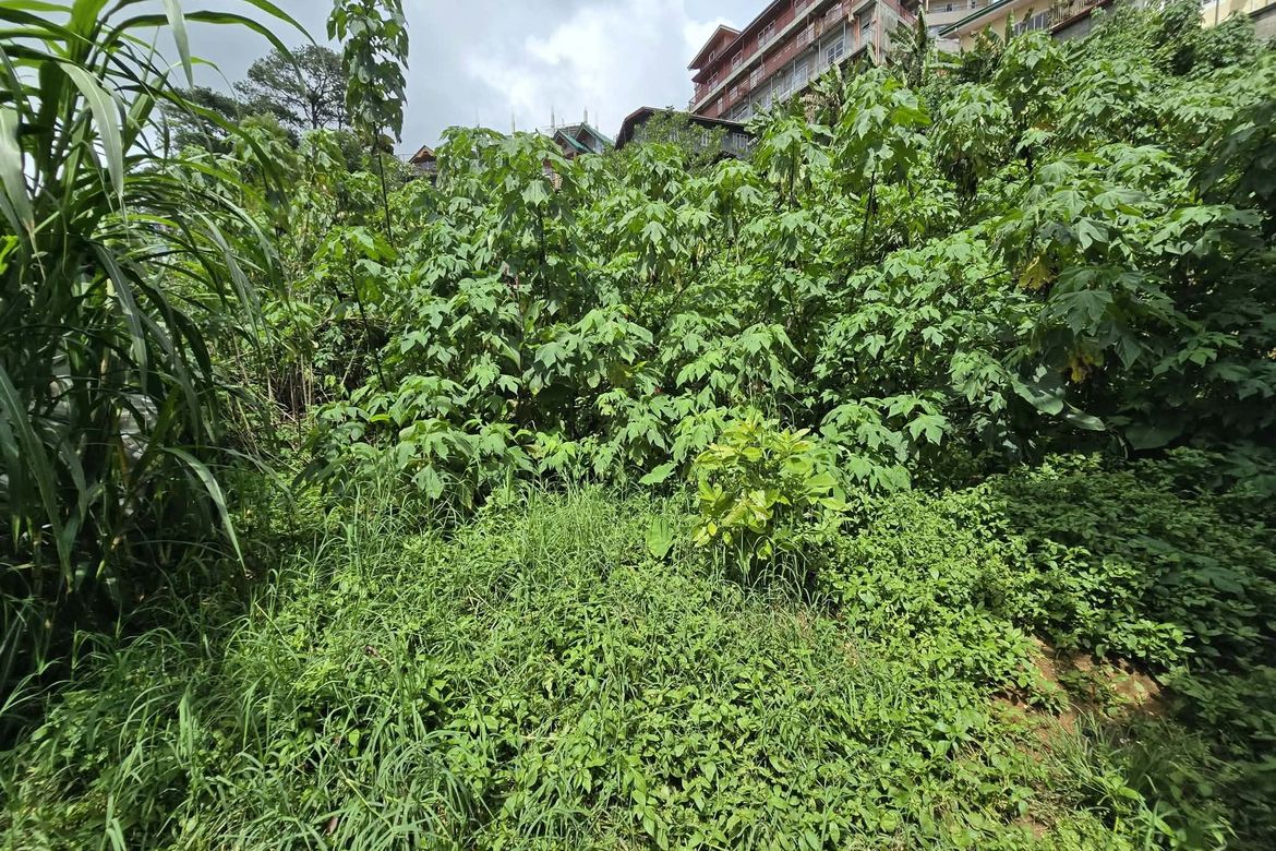 Land for Sale in Pico, La trinidad, Benguet – photo 2