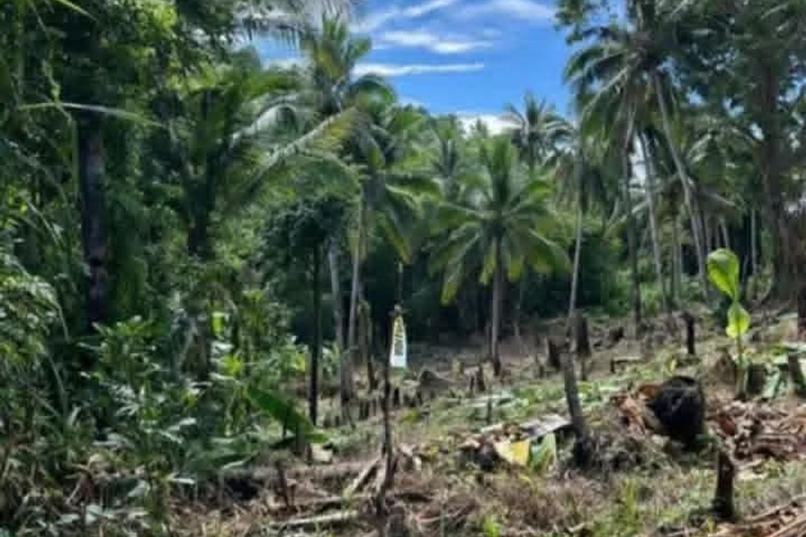 Land for Sale in Pilaring, Pilar, Surigao del Norte – photo 3