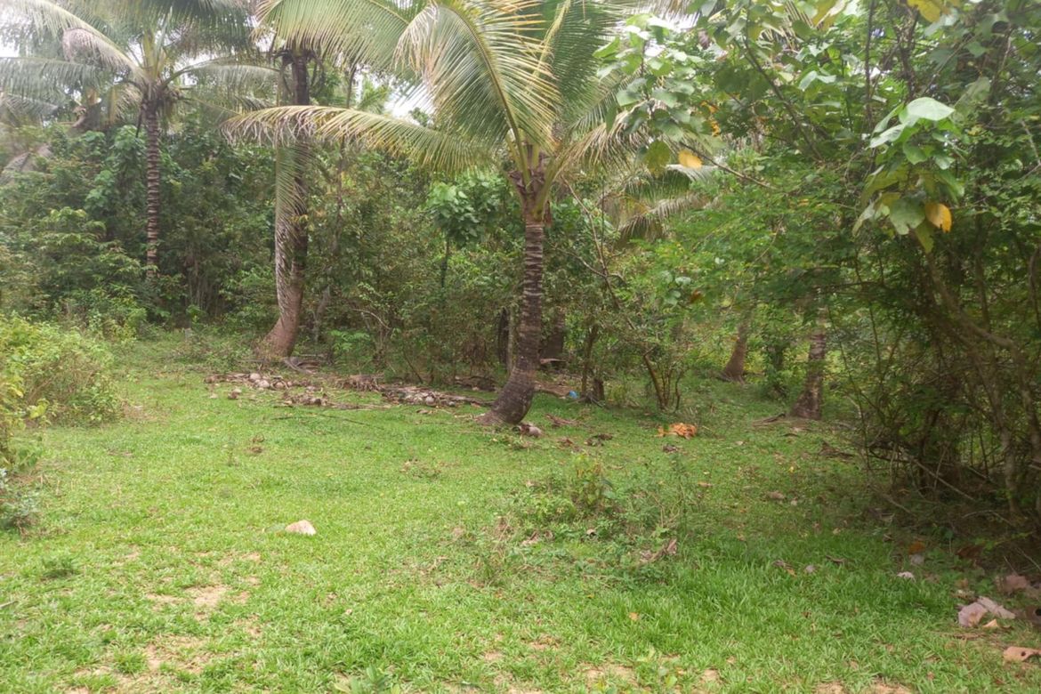 Land for Sale in Pinagdapian, Del Gallego, Camarines Sur