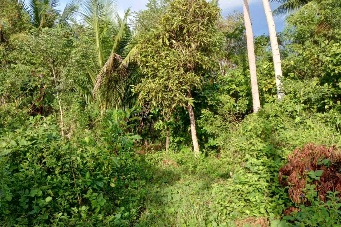 Land for Sale in Pinagdapian, Del Gallego, Camarines Sur