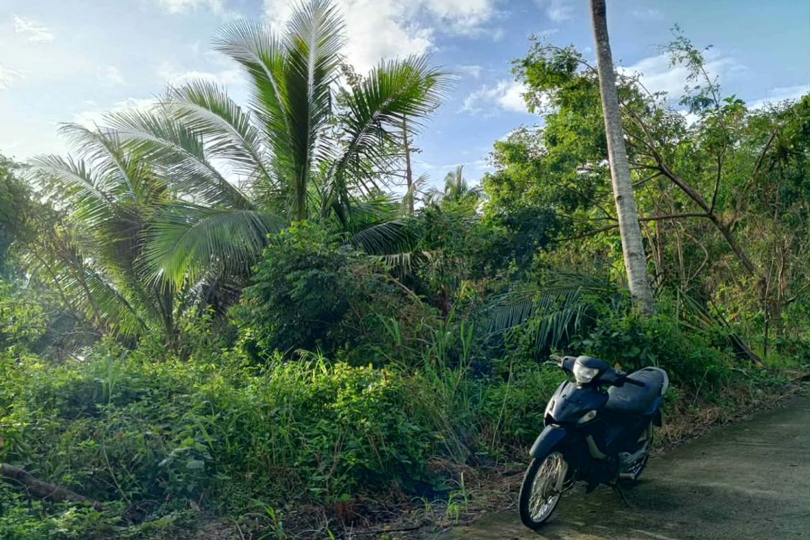 Land for Sale in Pinagdapian, Del Gallego, Camarines Sur – photo 4