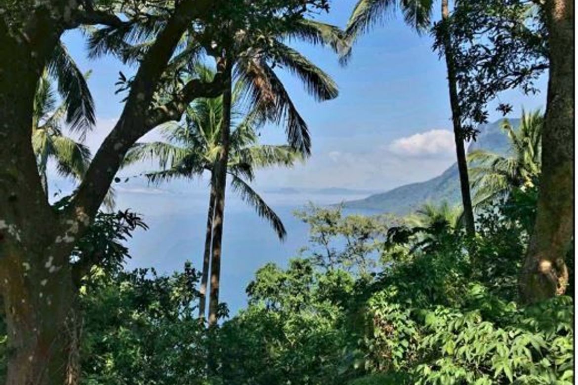 Land for Sale in Pinagkurusan, Alitagtag, Batangas – photo 2