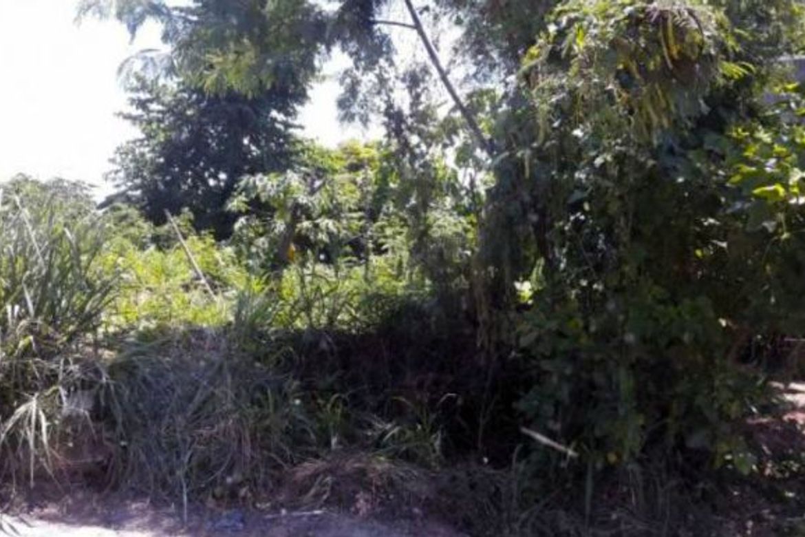 Land for Sale in Pinagsama, Taguig, Metro Manila – photo 4