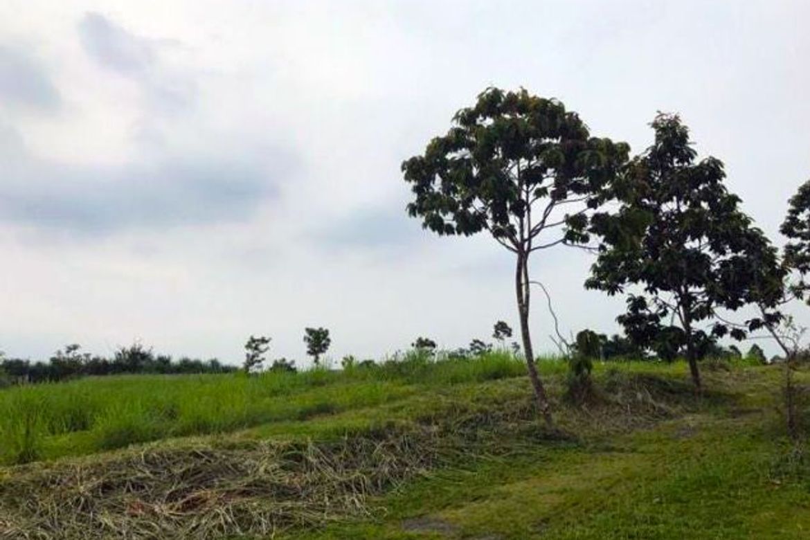 Land for Sale in Pinagsama, Taguig, Metro Manila – photo 8