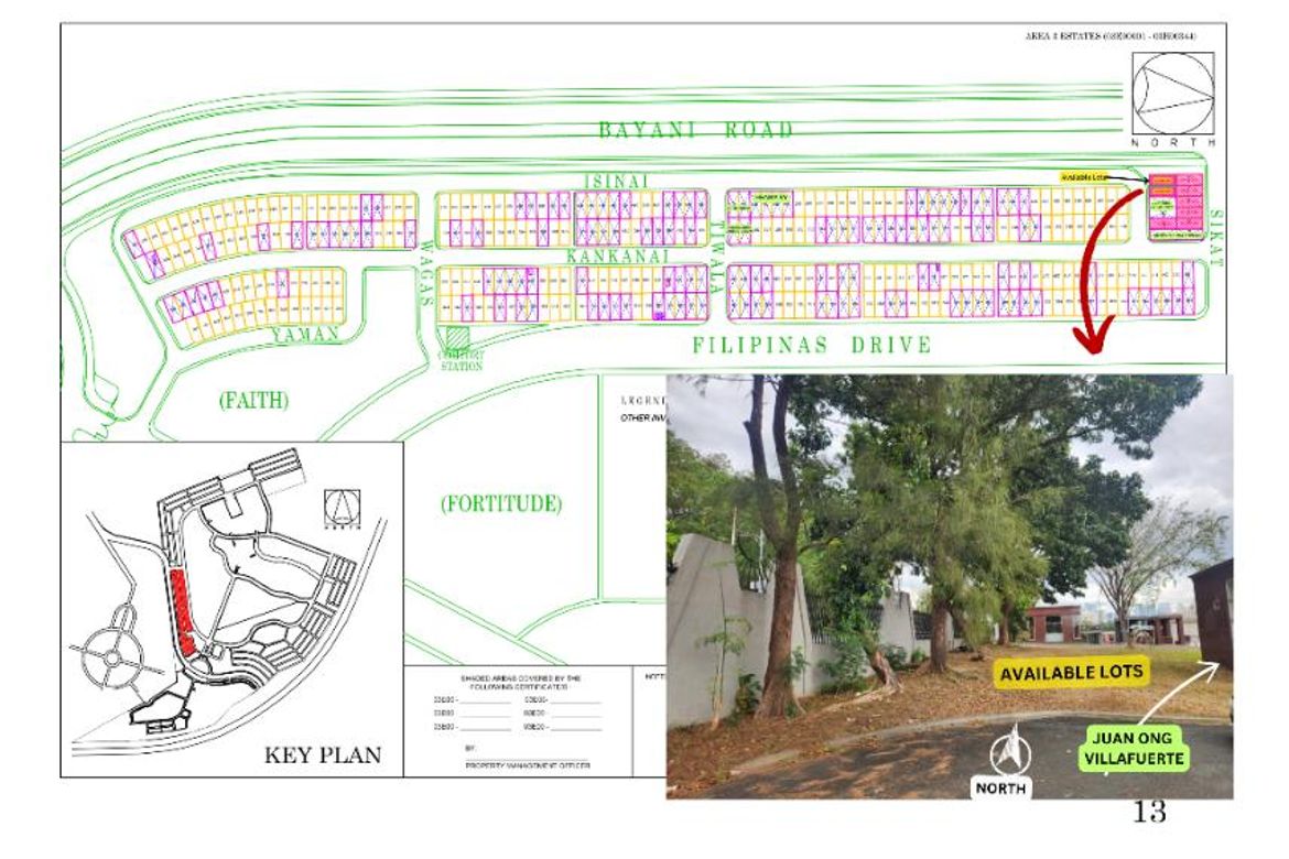 Land for Sale in Pinagsama, Taguig, Metro Manila – photo 6