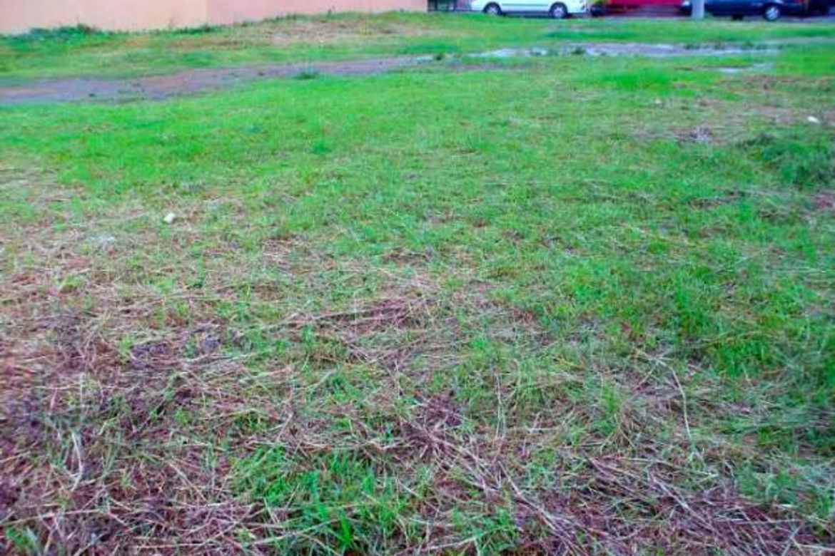 Land for Sale in Pinagsama, Taguig, Metro Manila – photo 8