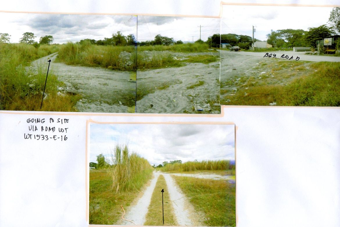 Land for Sale in Pinasling, Gerona, Tarlac – photo 2